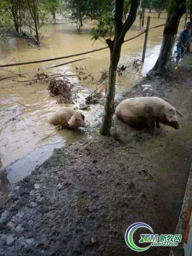 博彩论坛排名