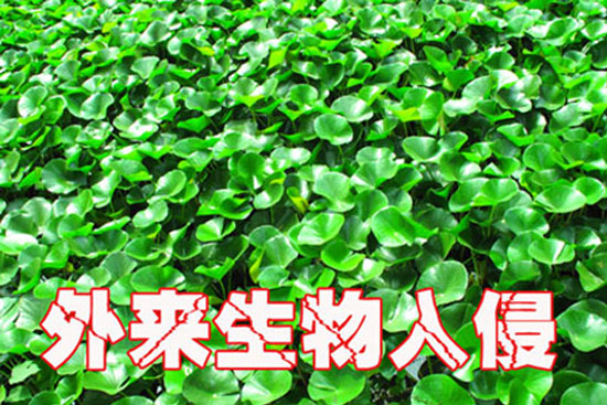 点击观看视频