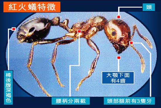 点击观看视频
