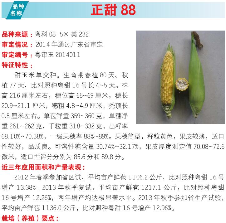 博彩论坛排名