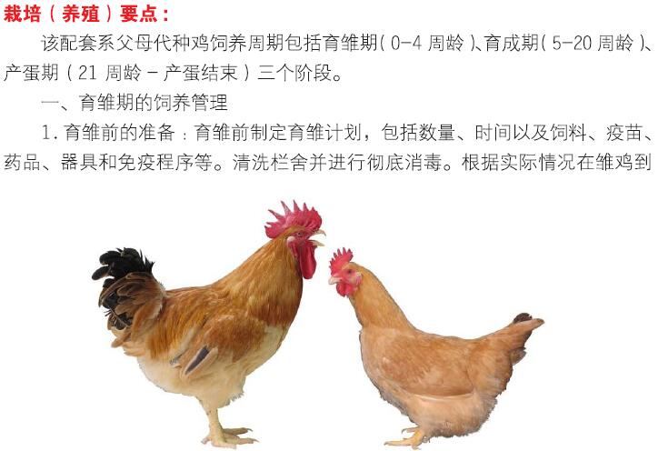 博彩论坛排名