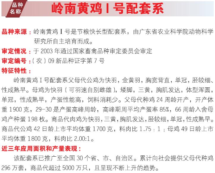 博彩论坛排名