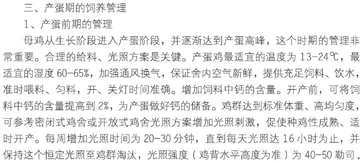 博彩论坛排名