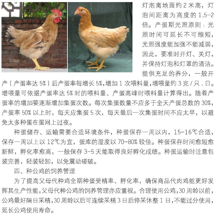 博彩论坛排名