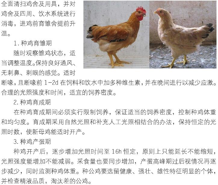 博彩论坛排名
