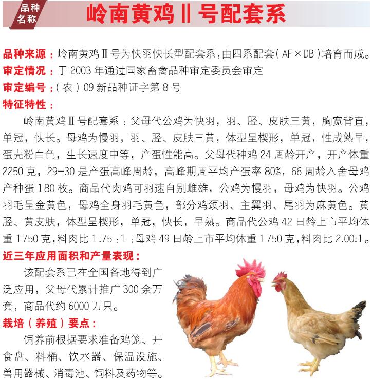 博彩论坛排名
