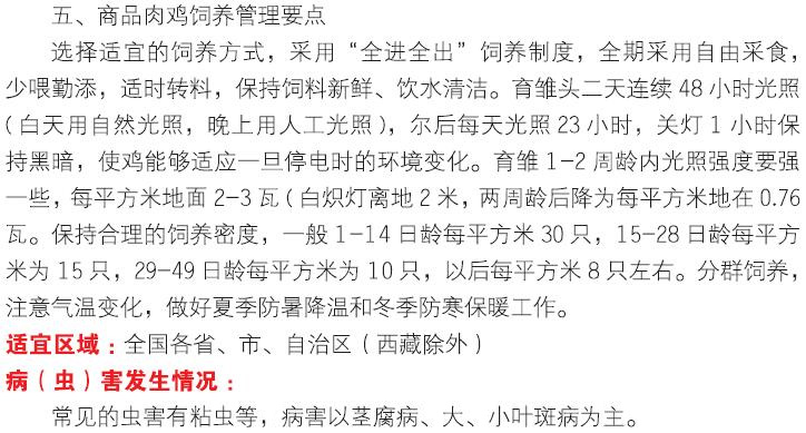 博彩论坛排名