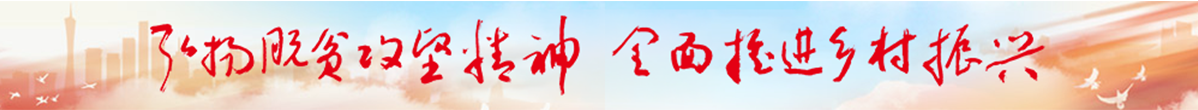 弘扬脱贫攻坚精神，全面推进乡村振兴