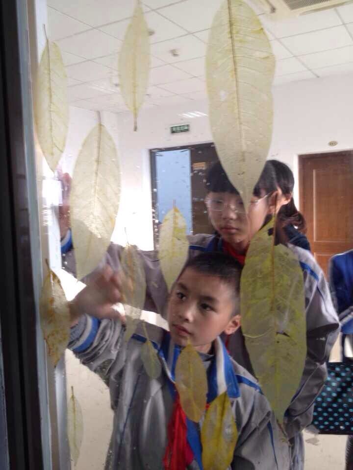 博彩论坛排名